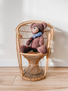 Child peacock chair hotsell