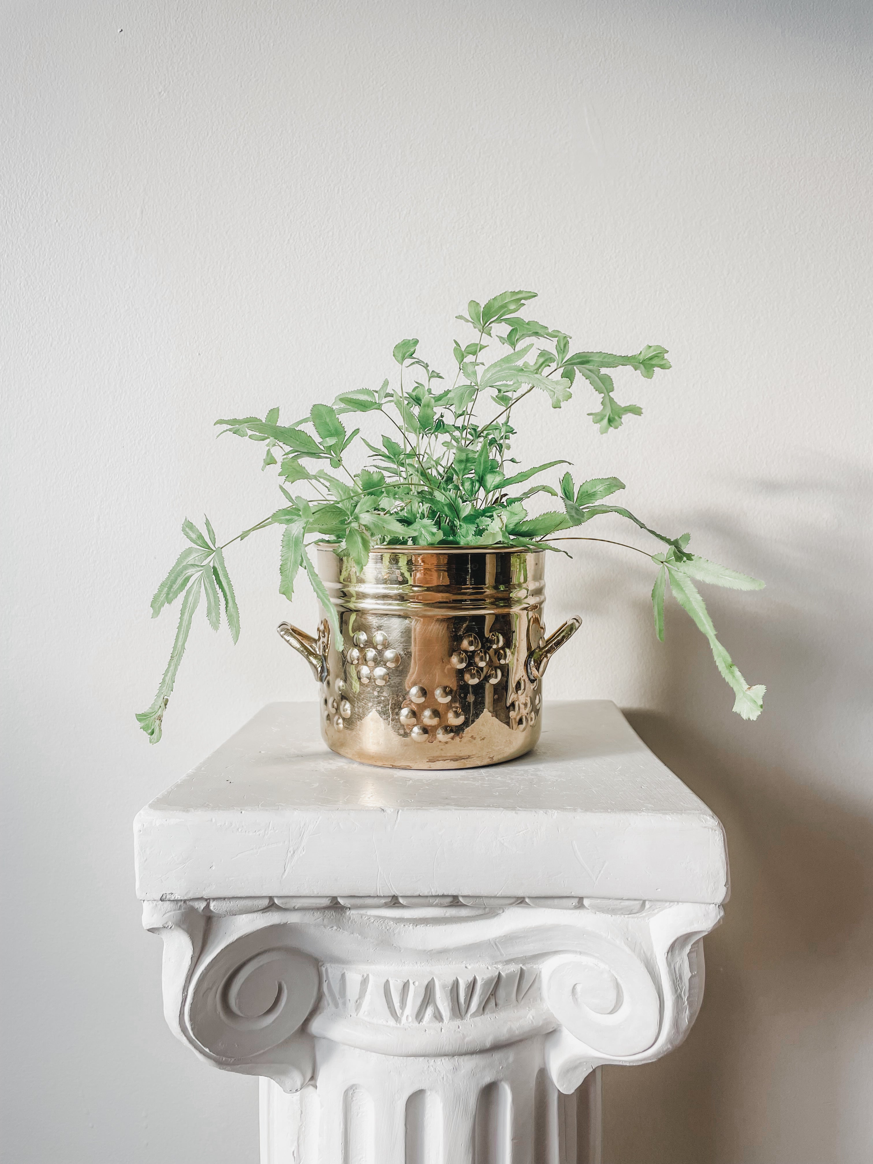 VINTAGE BRASS PLANTERS