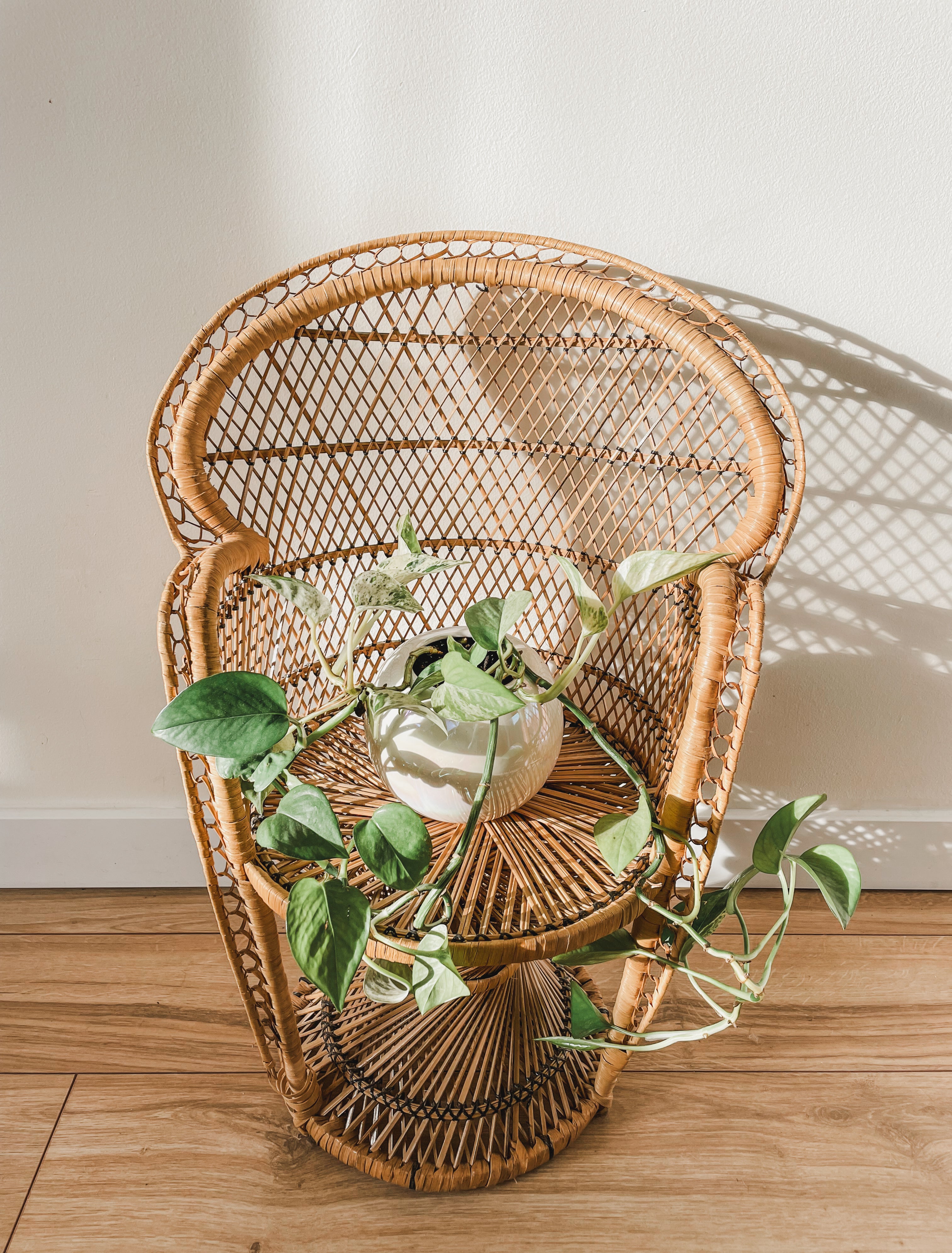 CHILD SIZE PEACOCK CHAIR