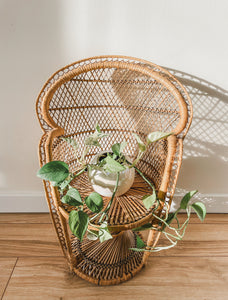 CHILD SIZE PEACOCK CHAIR
