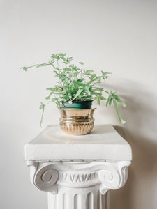 VINTAGE BRASS PLANTERS