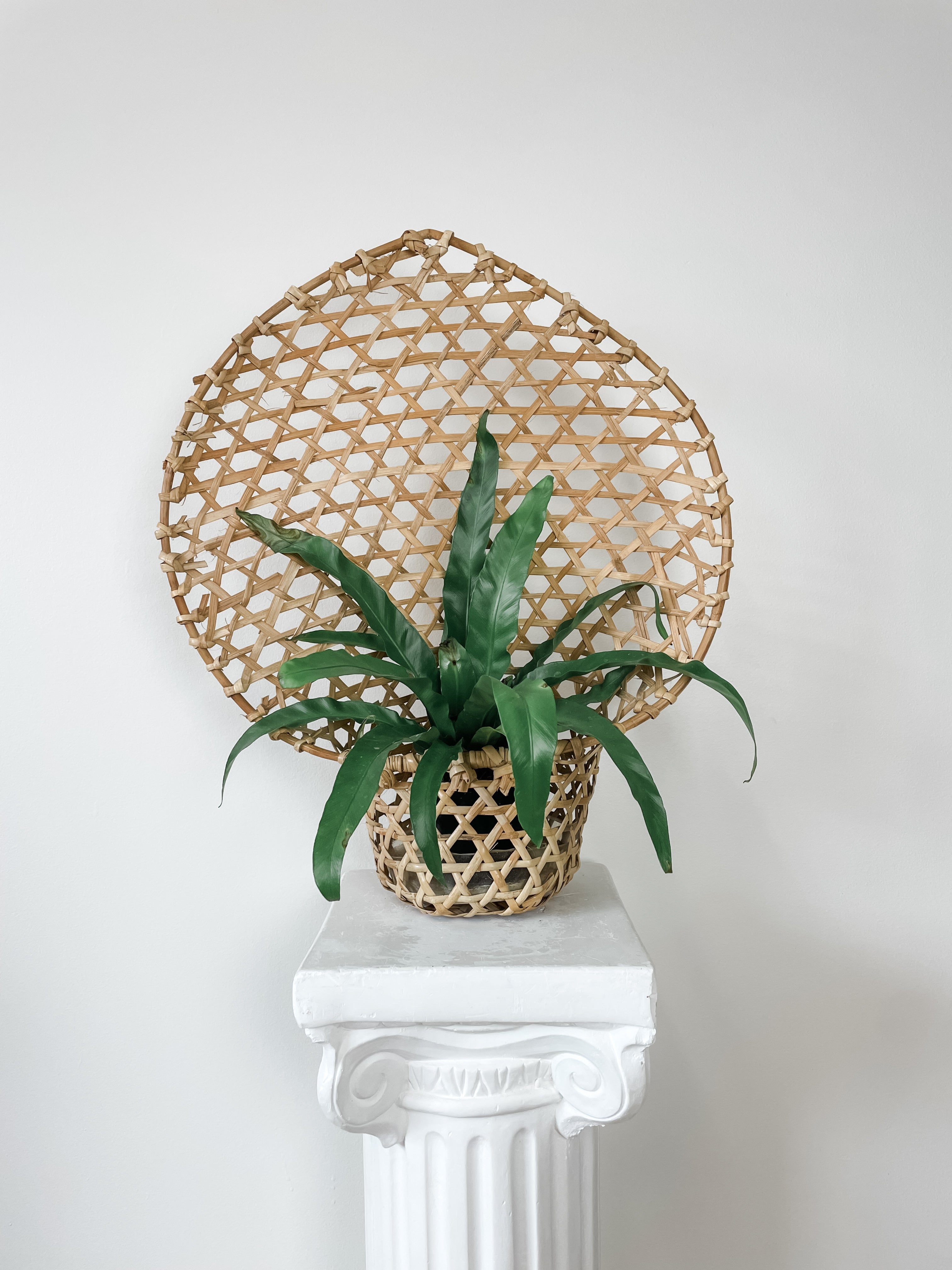 VINTAGE WOVEN HANGING PLANTER
